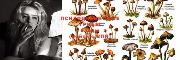 mdma Инсар