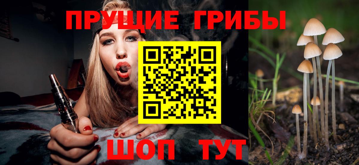 Галлюциногенные грибы прущие грибы Ивантеевка